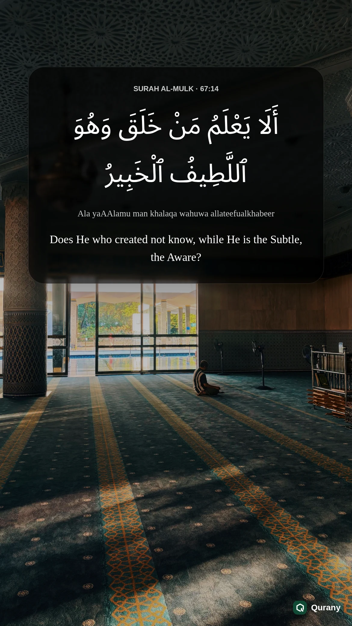 Surah Al Mulk Aesthetic Wallpaper with Quran ayah 67:14